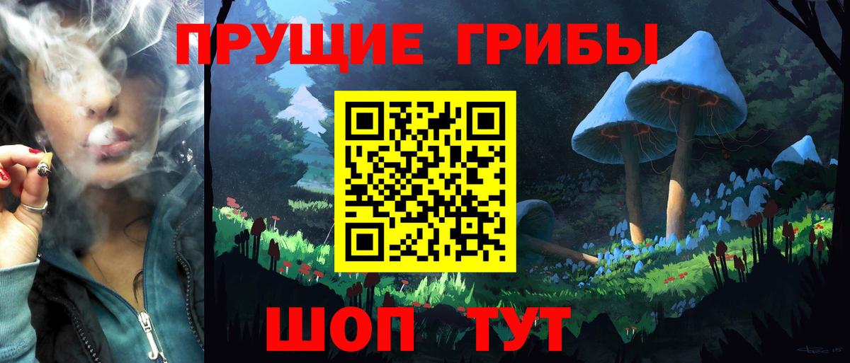 Партизанск  Галлюциногенные грибы ЛСД  Вход с VPN 